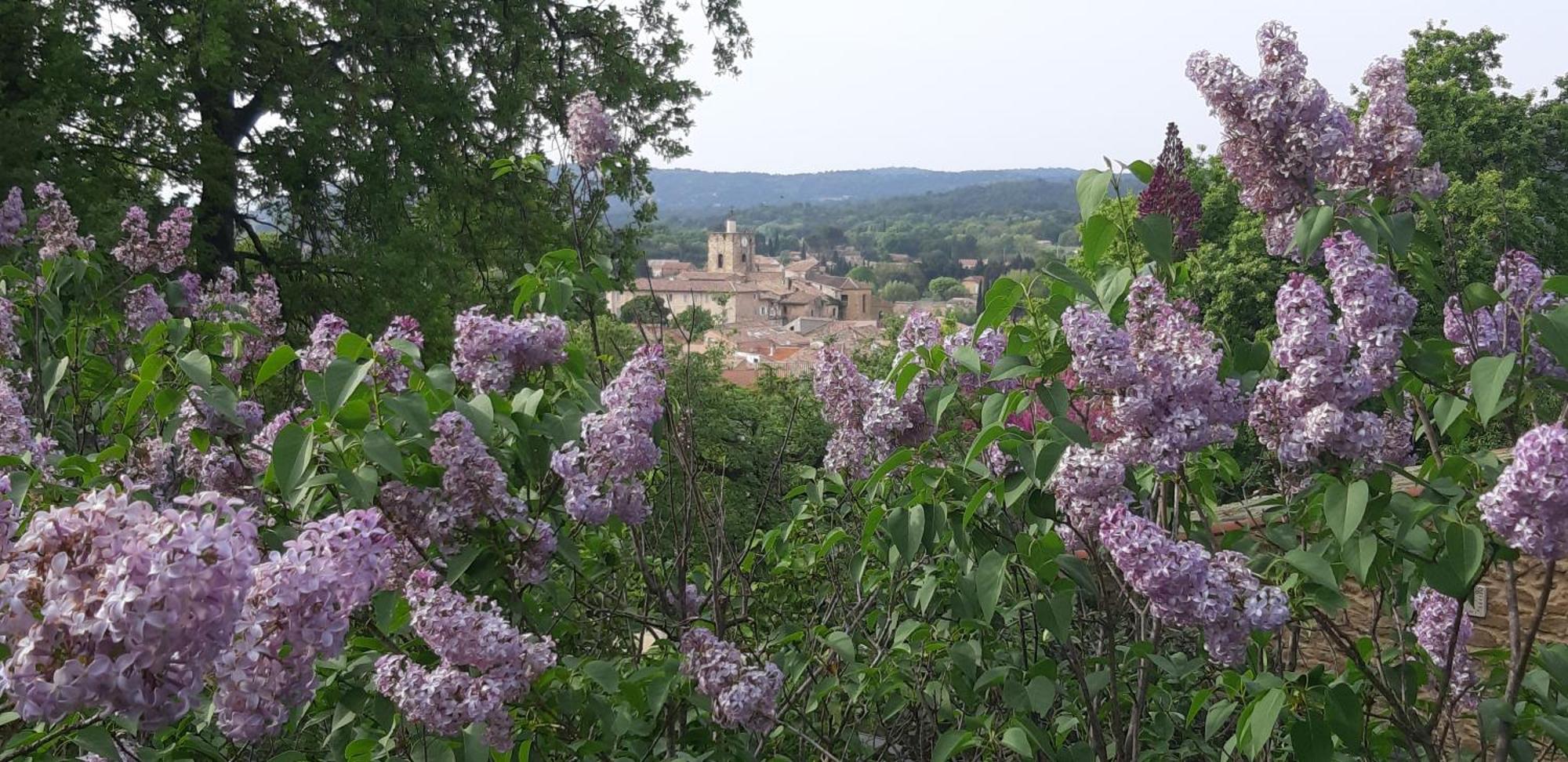 Les Lilas Des Chenes 피오레크 외부 사진